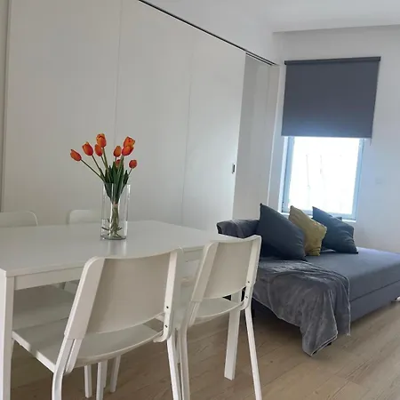 Ria & Mar Collection I Aveiro